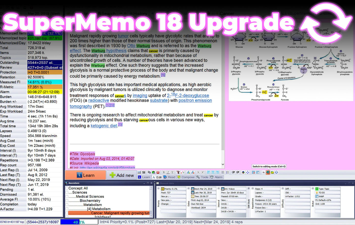 SuperMemo 18 Upgrade