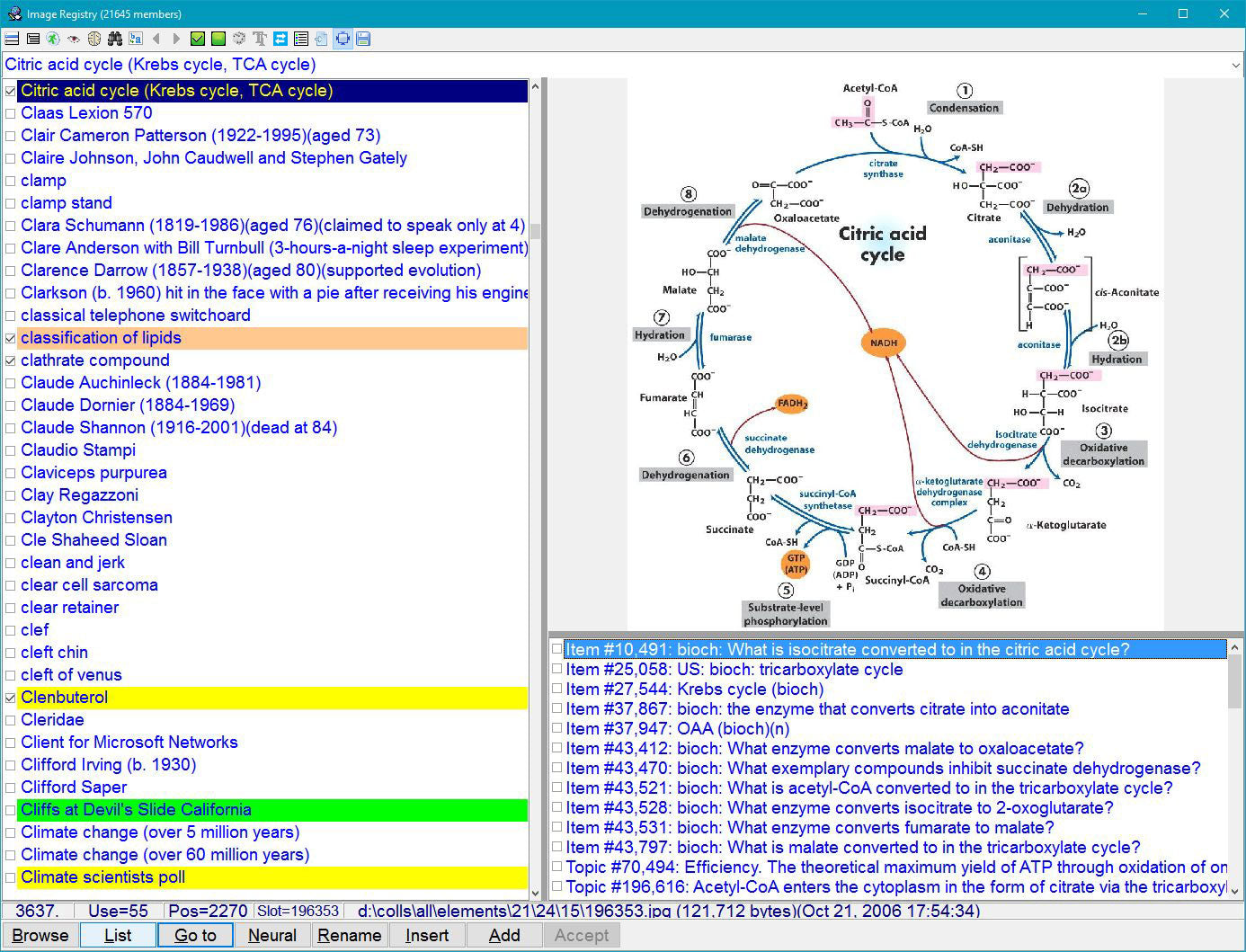 Windows 版 SuperMemo 18