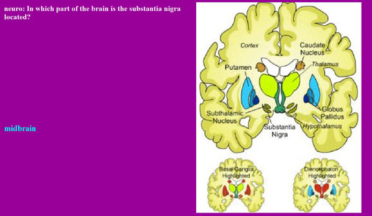 Medical Biology